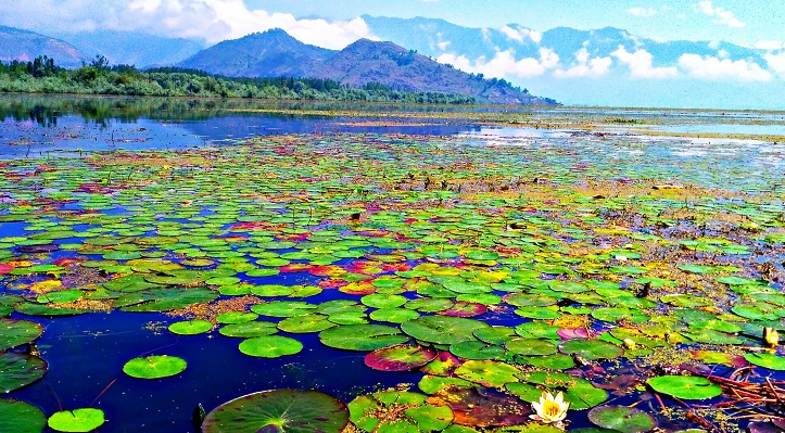 wular lake