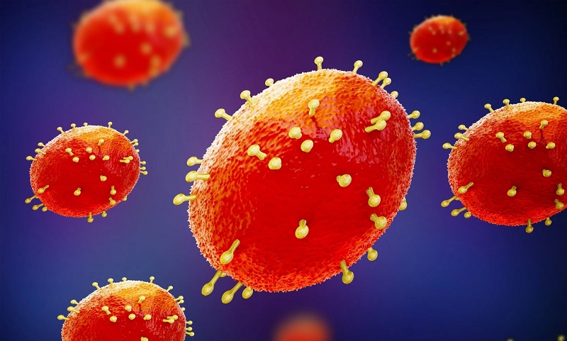 monkeypox virus