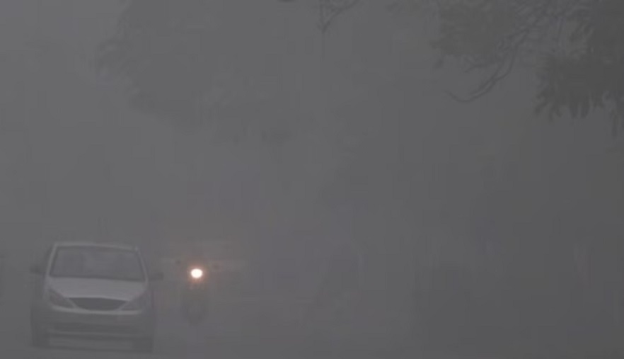 dense fog in india